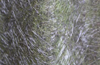 Keld Houses fibreglass roof work